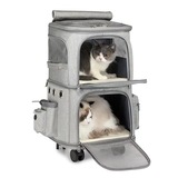 PET003