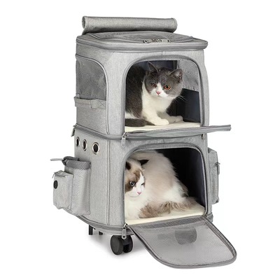 PET003